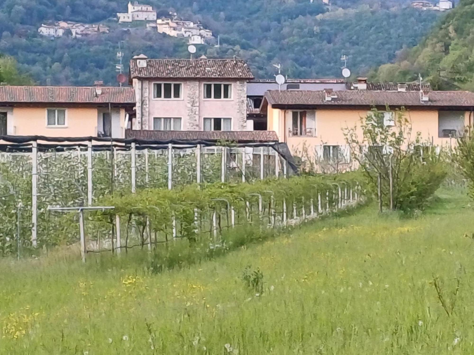 Cascina Legnago Bilocale A 6 Chilometri Da Salo' Διαμέρισμα Villanuova sul clisi Εξωτερικό φωτογραφία