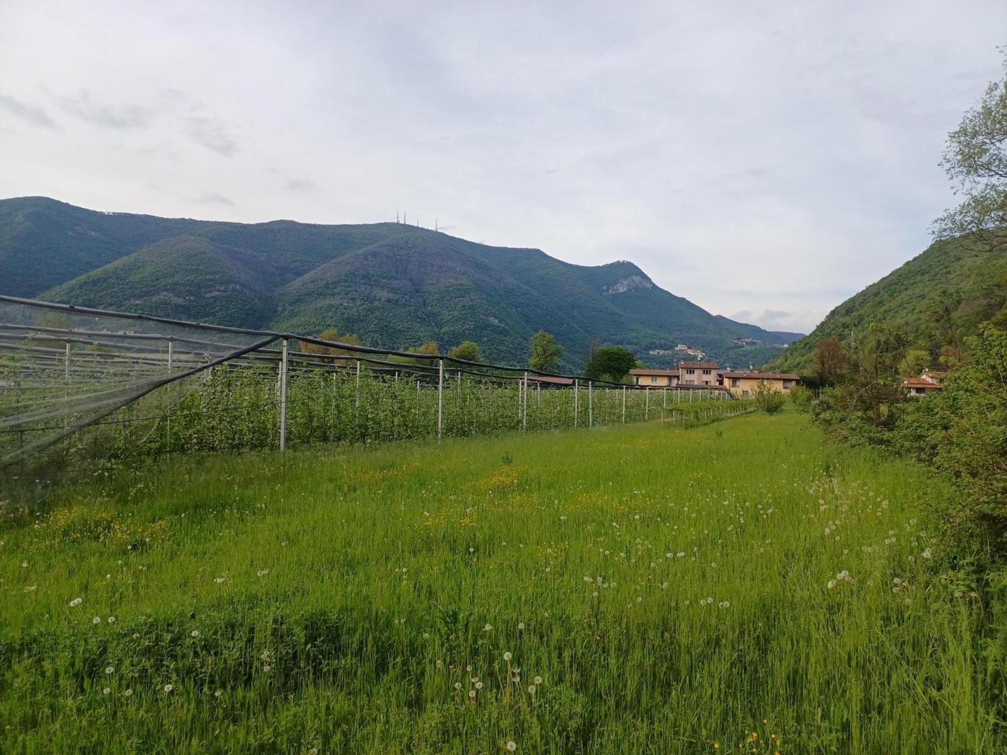 Cascina Legnago Bilocale A 6 Chilometri Da Salo' Διαμέρισμα Villanuova sul clisi Εξωτερικό φωτογραφία