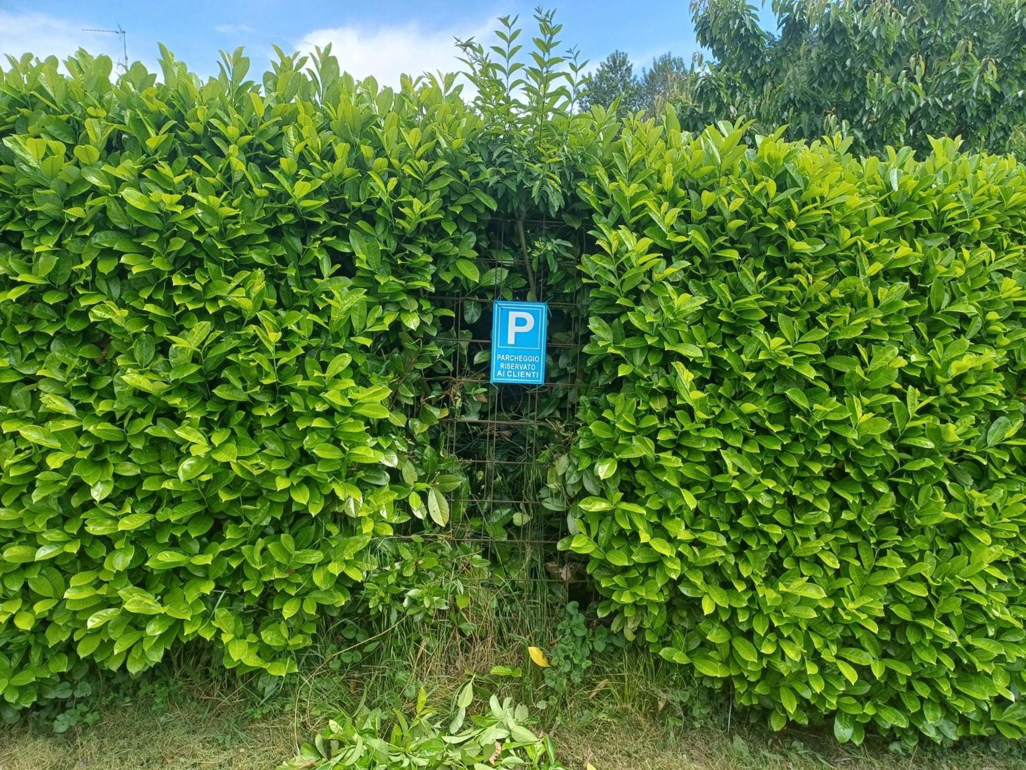 Cascina Legnago Bilocale A 6 Chilometri Da Salo' Διαμέρισμα Villanuova sul clisi Εξωτερικό φωτογραφία