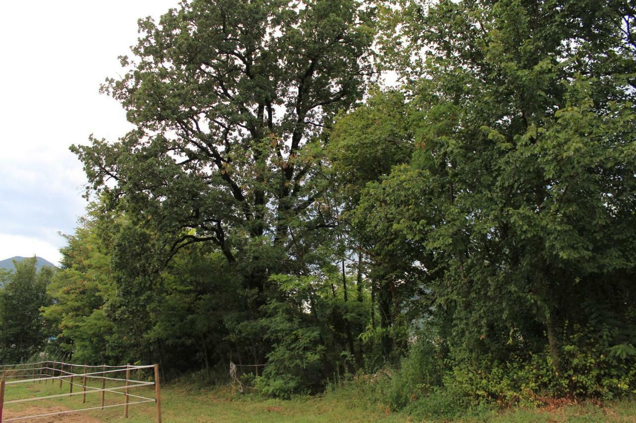 Cascina Legnago Bilocale A 6 Chilometri Da Salo' Διαμέρισμα Villanuova sul clisi Εξωτερικό φωτογραφία