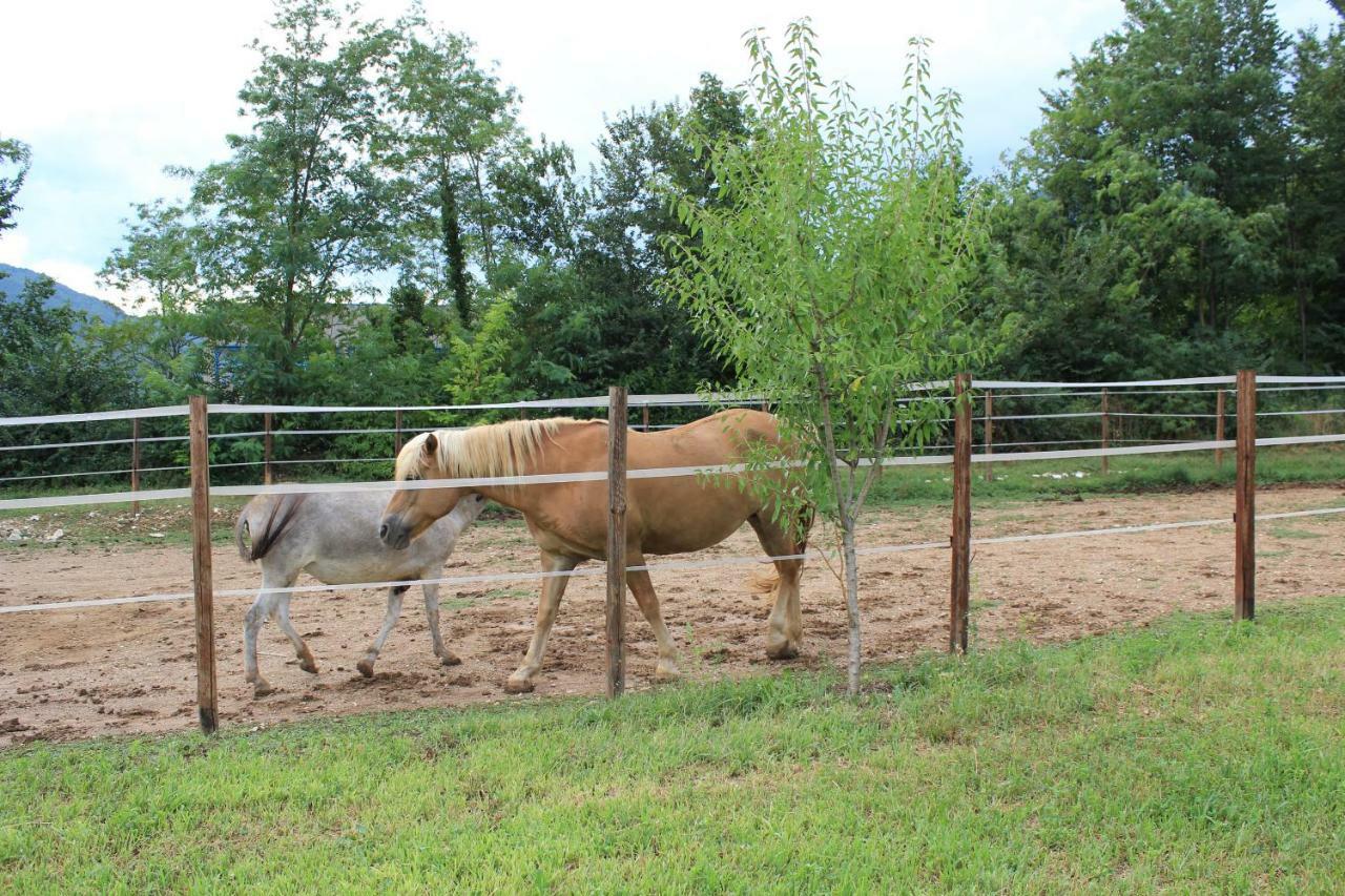 Cascina Legnago Bilocale A 6 Chilometri Da Salo' Διαμέρισμα Villanuova sul clisi Εξωτερικό φωτογραφία