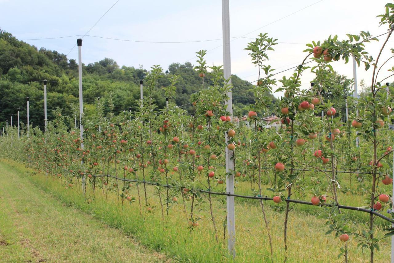 Cascina Legnago Bilocale A 6 Chilometri Da Salo' Διαμέρισμα Villanuova sul clisi Εξωτερικό φωτογραφία