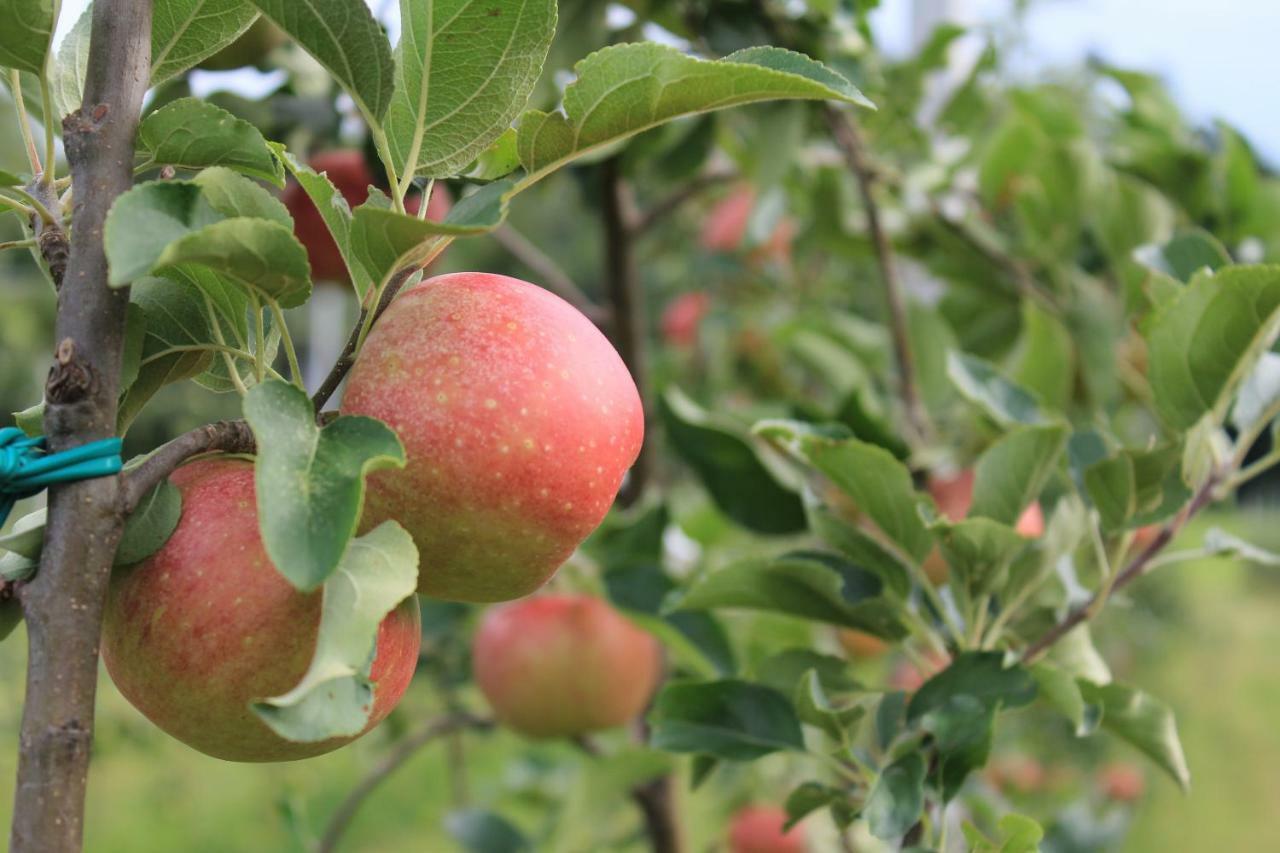Cascina Legnago Bilocale A 6 Chilometri Da Salo' Διαμέρισμα Villanuova sul clisi Εξωτερικό φωτογραφία