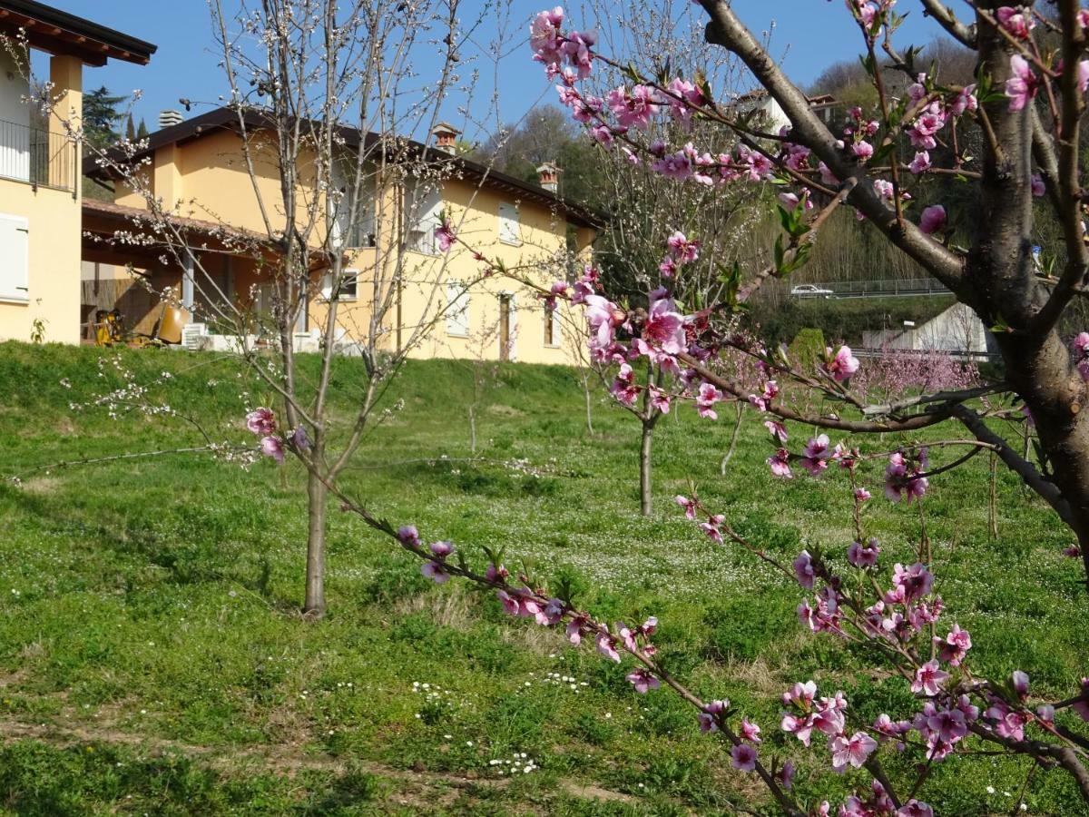 Cascina Legnago Bilocale A 6 Chilometri Da Salo' Διαμέρισμα Villanuova sul clisi Εξωτερικό φωτογραφία